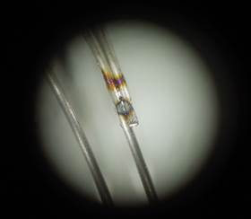 SUS φ0.35 / SUS φ0.35 2