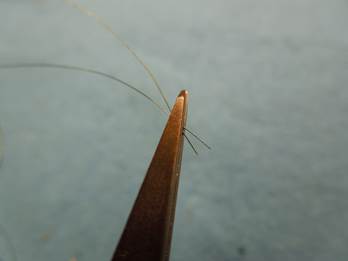 K tc φ0.1 / K tc φ0.1 _24